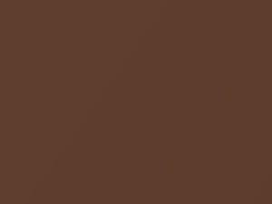 Mitsubishi All Models Brown Metallic 1983 AC10690, C90