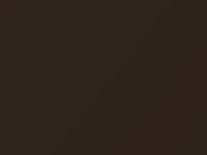 Ford All Models Dark Sable Metallic 1985 8W, M5991A - Scratch Repair