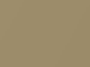 Chevrolet All Models Solar Gold Metallic 1980 57, 7117, WA7117 - Scratch Repair