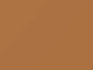 Oldsmobile All Models Sedona Tan 1985 52, 8528, WA8528 - Scratch Repair