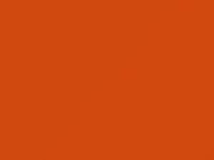 Ford All Models Bright Caramel 1983 8P, M5707A