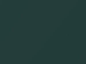 Ford All Models Medium Dark Spruce Metallic 1981 4J, M5731A - Scratch Repair