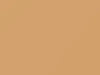 Buick All Models Copper Beige 1990 52, 9179, WA9179