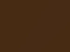 Dodge All Models Walnut Brown Metallic 1988 DT6597, PT7