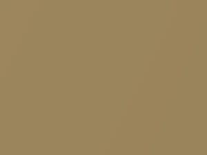 Ford All Models Wheat Metallic 1989 6E, M5941A, Y2 - Scratch Repair