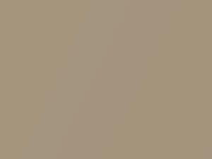 Oldsmobile All Models Light Chestnut Metallic 1987 58, 8575, 9308, WA8575, WA9308 - Scratch Repair