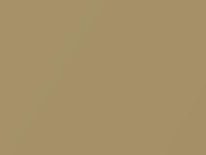 Cadillac All Models Sungold F/Metallic 1986 8759, 95, WA8759 - Scratch Repair