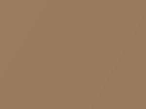 Chevrolet All Models Gold Metallic 1987 49, 9224, WA9224 - Scratch Repair