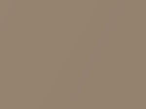 Chevrolet All Models Light Brown Metallic 1987 67U, 9139, WA9139 - Scratch Repair