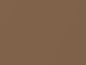 Oldsmobile All Models Light Beechwood Metallic 1988 57C, 9278, WA9278 - Scratch Repair