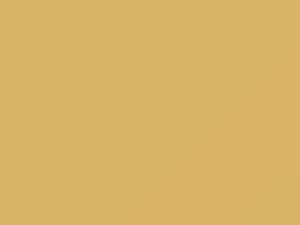 Pontiac All Models Yellow Beige 1987 54, 9307, WA9307