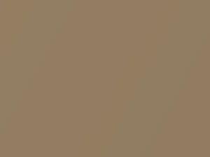 Chevrolet All Models Light Chestnut Metallic 1985 8590, E60, WA8590 - Scratch Repair