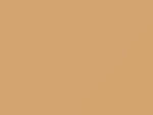 Buick All Models Copper Beige 1988 52W, 9319, WA9319