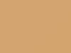 Pontiac All Models Copper Beige 1988 52W, 9319, WA9319