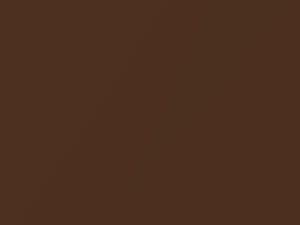 Ford Heavy Truck Medium Walnut Metallic 1995 9Y, A2, AZ, M5858A