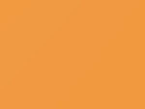 Ford All Models Pastel Caramel 1981 5Z, M5708A - Scratch Repair