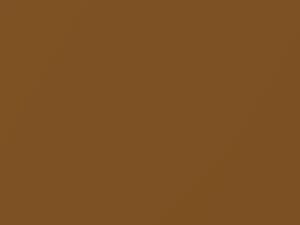 Dodge All Models Medium Tan Metallic 1989 DT6615, PU6