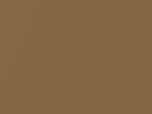 Datsun All Models Aspen Gold Metallic 1985 827