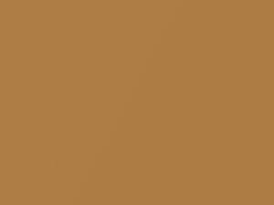 Chevrolet All Models Gold Metallic 1982 56, 7418, WA7418 - Scratch Repair