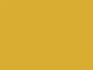 Chevrolet All Models Yellow Gold 1985 51, 8522, WA8522