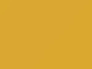 Chevrolet All Models Yellow Gold 1985 50, 8740, WA8740