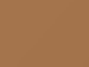 Ford All Models Light Desert Tan 1989 8Q, M5934A