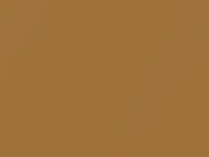 Dodge All Models Golden Brown Metallic 1986 DT6598, PU5