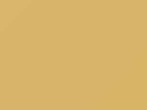 Buick All Models Yellow Beige 1987 9337, WA9337