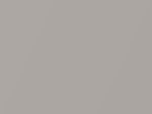 Nissan Sentra Light Beige Metallic 1988 449 - Scratch Repair