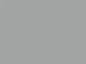 Honda All Models Blade Silver Metallic 1994 NH95M