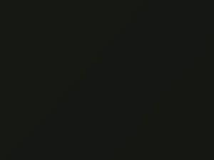 Ford All Models Dark Sage 1986 4E, M6009A - Scratch Repair