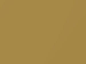 Lincoln All Models Gold Metallic 1978 67, M5580A