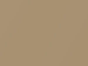 Chevrolet All Models Light Chestnut Metallic 1985 8606, W60, WA8606 - Scratch Repair