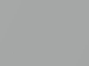 Hyundai All Models Pearl Silver Metallic 1984 PS