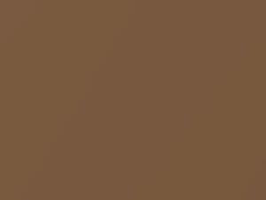 Ford All Models Medium Desert Tan Metallic 1984 83, M5936A