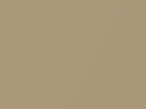 Chevrolet All Models Light Brown Metallic 1985 58, 58U, 8957, WA8957 - Scratch Repair