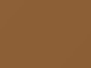 Chevrolet All Models Camel Beige 1980 64, 8057, WA8057 - Scratch Repair