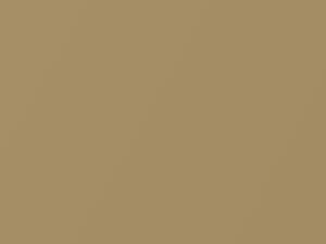 Nissan All Models Aspen Gold Metallic 1986 120 - Scratch Repair