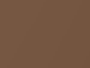 Oldsmobile All Models Dark Chestnut Metallic 1987 62, 8593, 9309, WA8593, WA9309