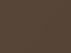 Chevrolet All Models Medium Brown Metallic 1987 9286, WA9286