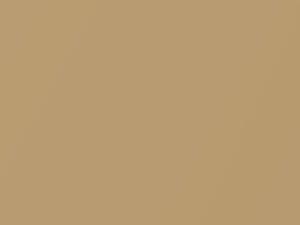 Dodge All Models Golden Tan Metallic 1982 AT7, AY84AT7 - Scratch Repair