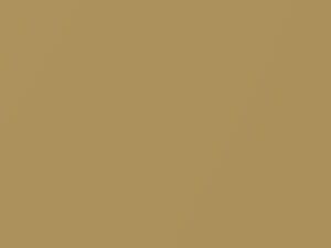 Ford All Models Light Gold Metallic 1981 6J, M5691A