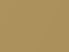 Ford All Models Light Gold Metallic 1981 6J, M5691A