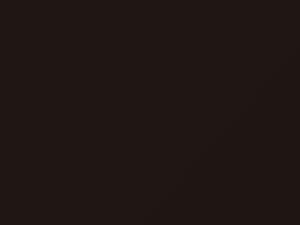 Ford All Models Dark Sable 1985 81, M6011A - Scratch Repair