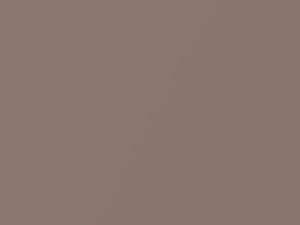 Ford All Models Light Taupe Metallic 1987 5E, 5W, M6058A
