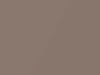 Ford All Models Light Taupe Metallic 1987 5E, 5W, M6058A