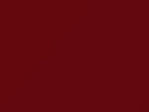 Suzuki All Models Wildfire Red 1993 1SH