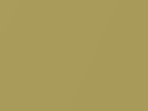 Nissan All Models Yellow Metallic 1996 ER2 - Scratch Repair