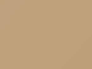 Buick All Models Phoenix Beige 1961 2721, R, WA2721