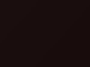 Austin Rover All Models Burgundy 1988 683, CPA - Scratch Repair